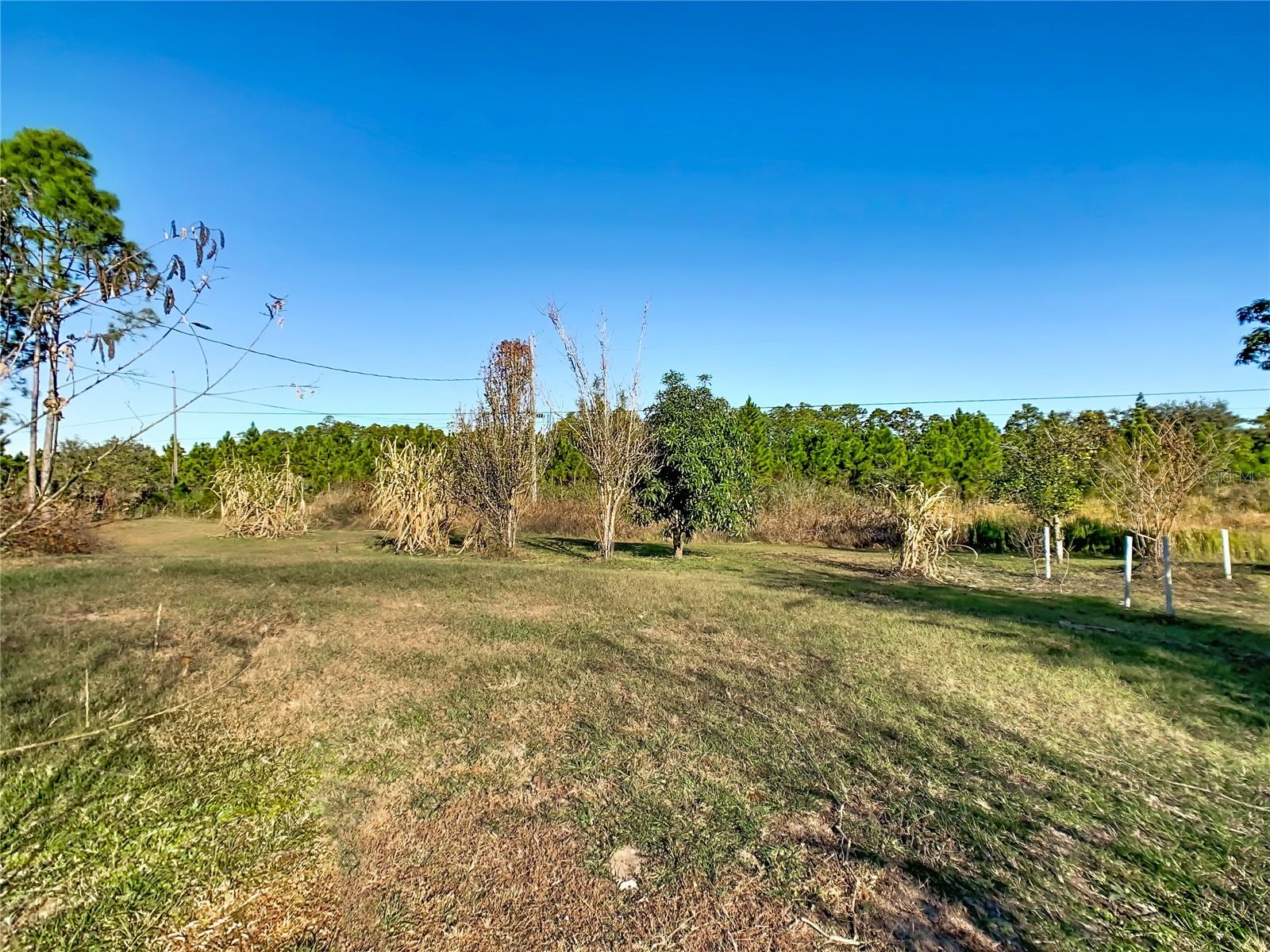 Image 45 of 51 For 2850 Poinciana Drive