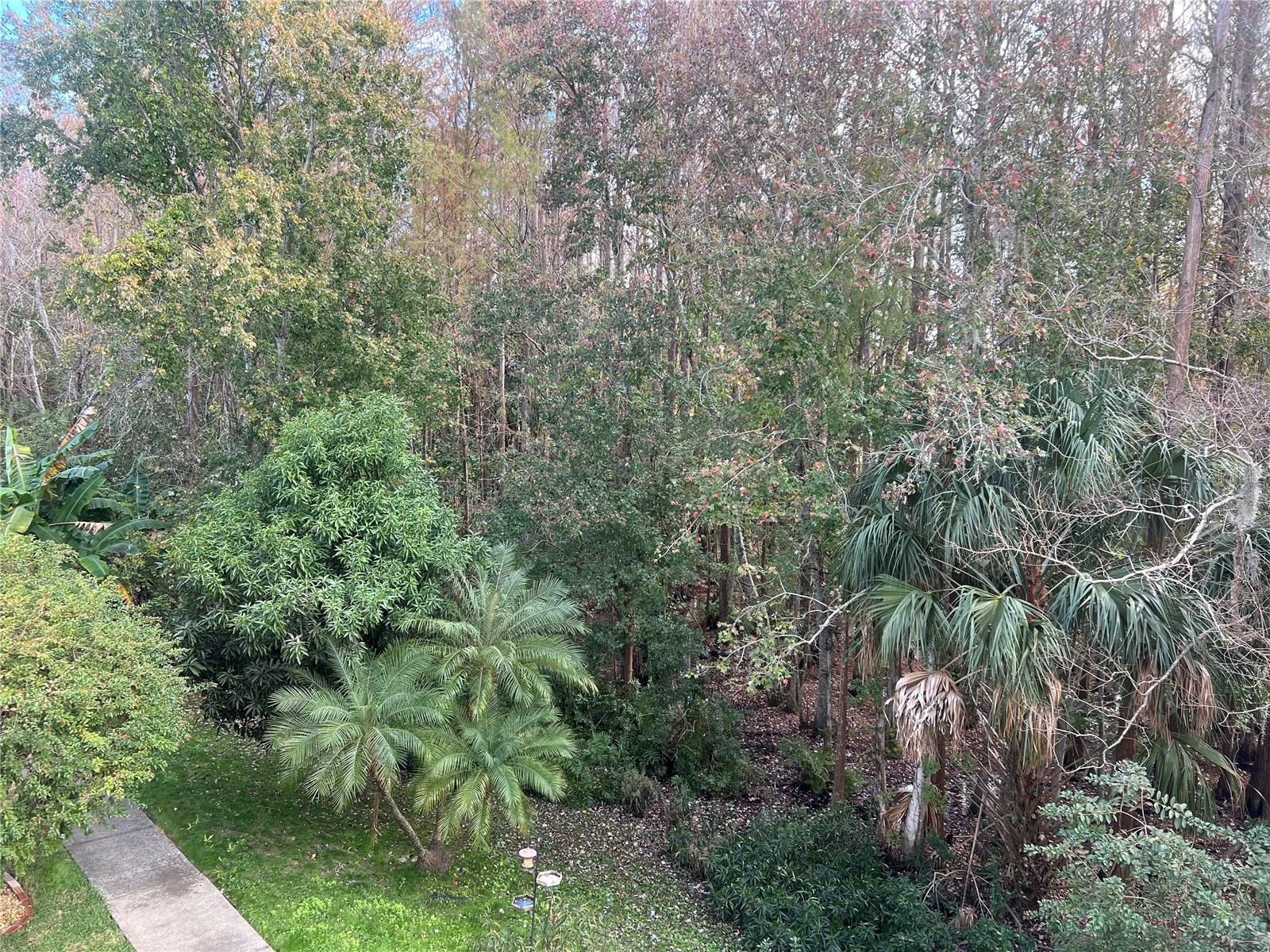 Image 21 of 21 For 14353 Fredricksburg Drive 915