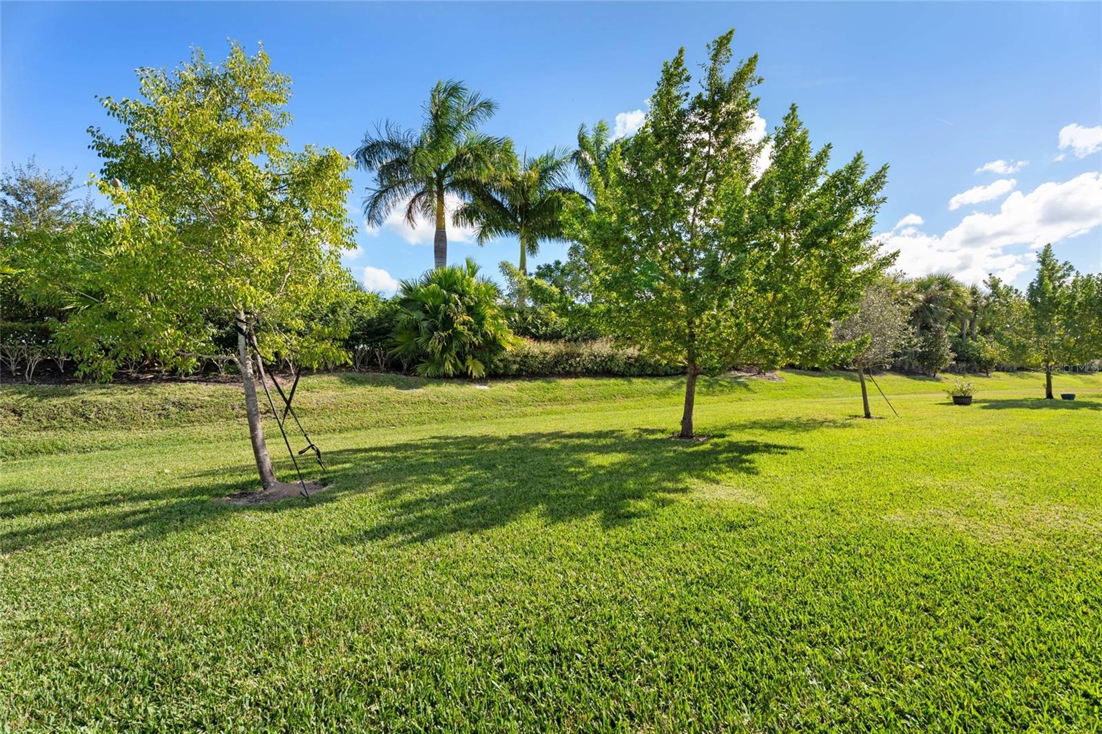 Image 11 of 80 For 11959 Viridian Boulevard