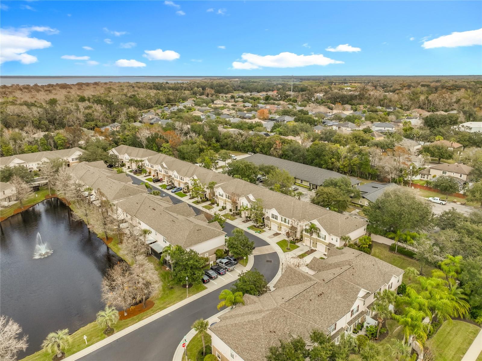 Image 41 of 44 For 650 Pinebranch Circle