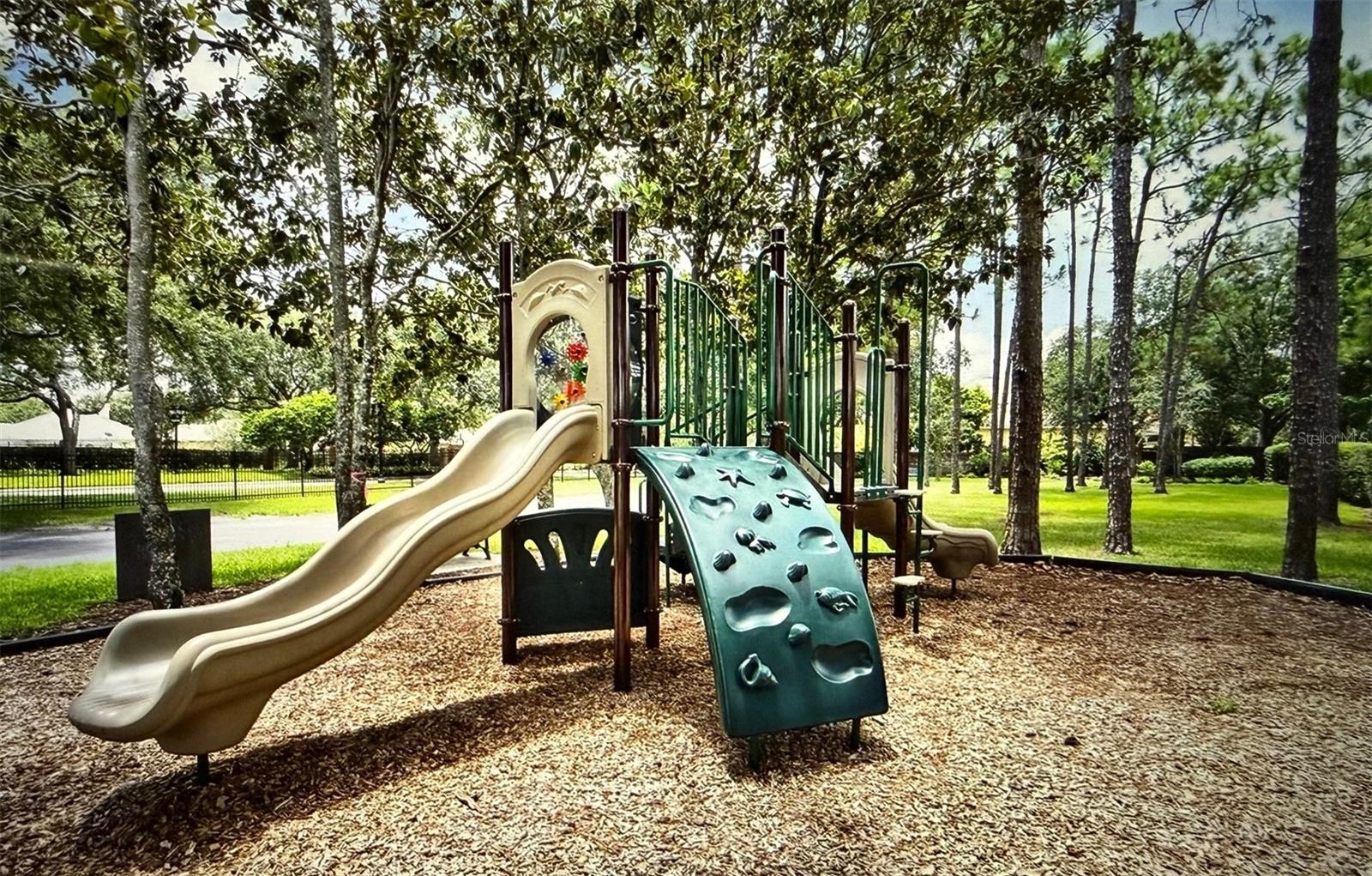 Image 49 of 50 For 10844 Emerald Chase Drive