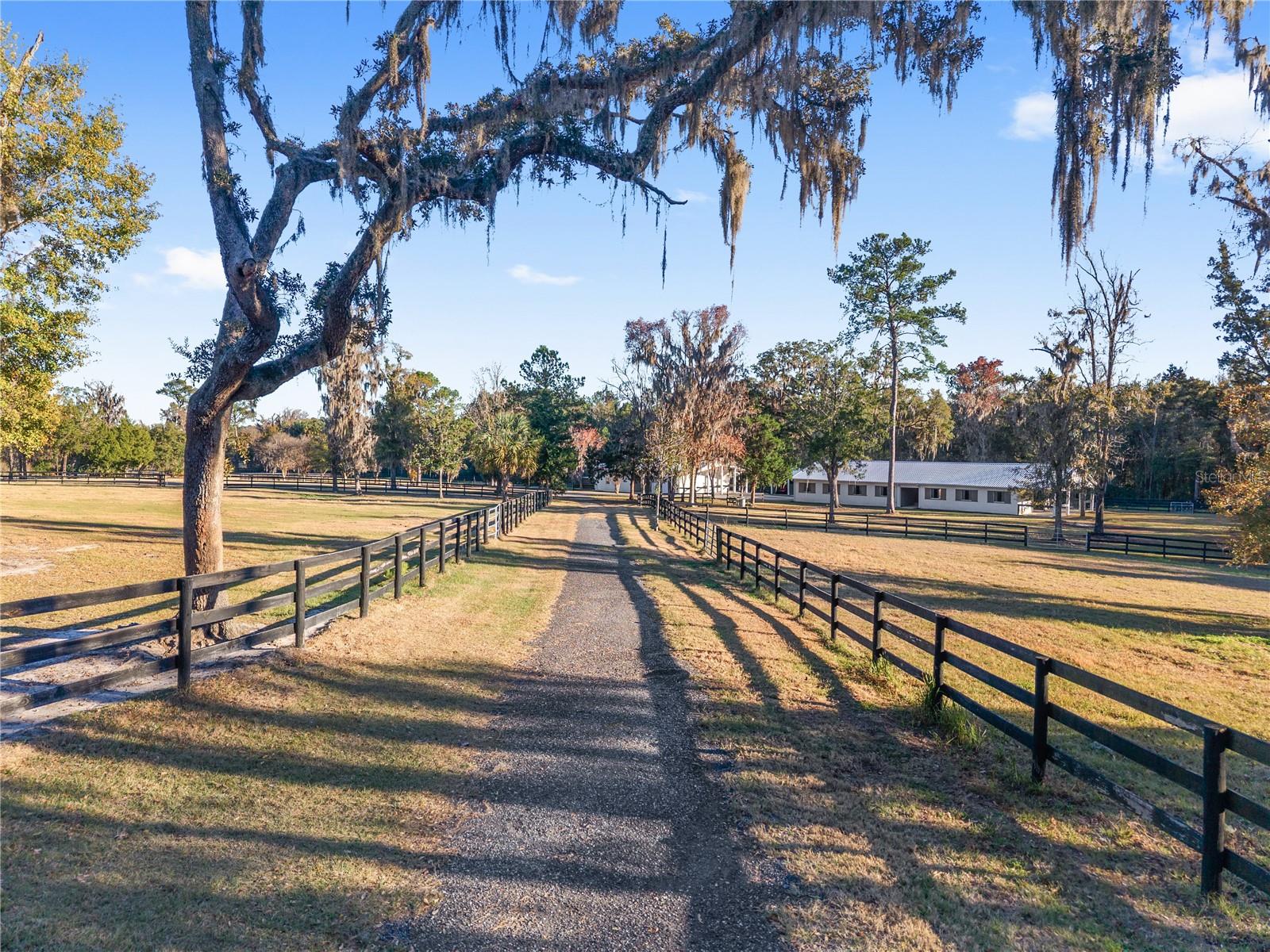 Image 2 of 59 For 7997 90th Avenue