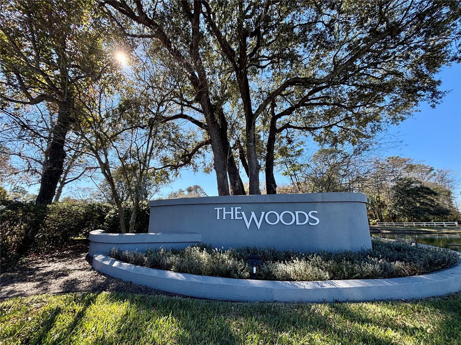 Image 30 of 33 For 13058 Bent Pine Court E