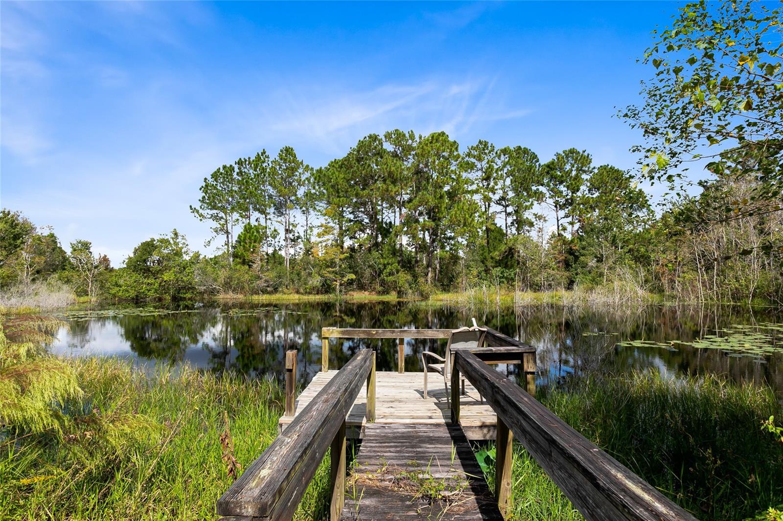 Image 29 of 54 For 538 Murray Street