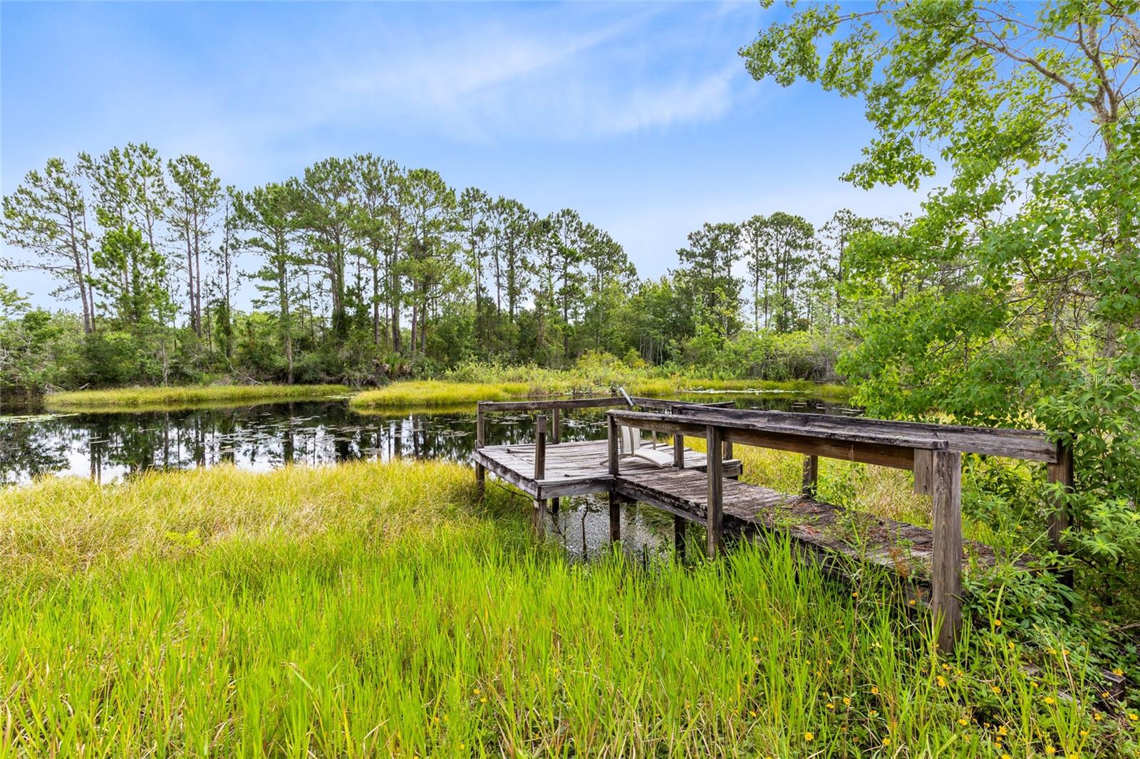 Image 30 of 54 For 538 Murray Street