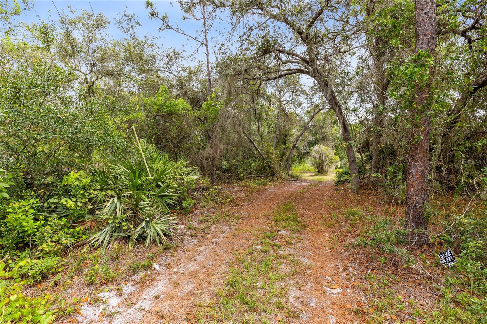 Image 33 of 54 For 538 Murray Street