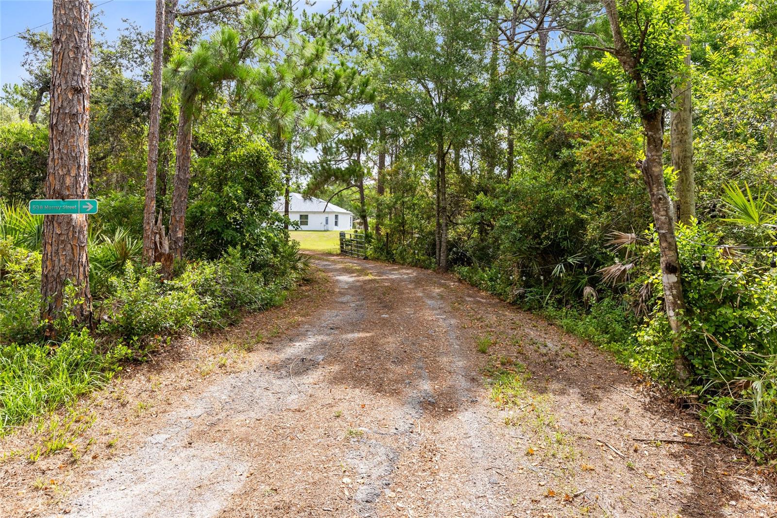 Image 35 of 54 For 538 Murray Street