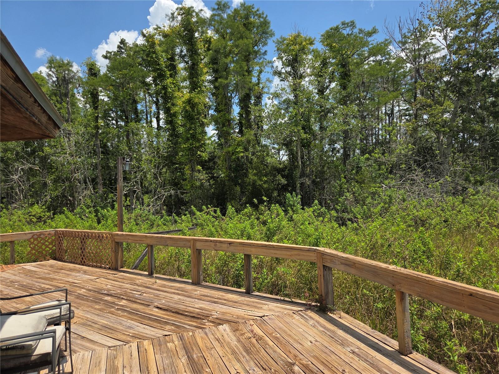 Image 43 of 54 For 538 Murray Street