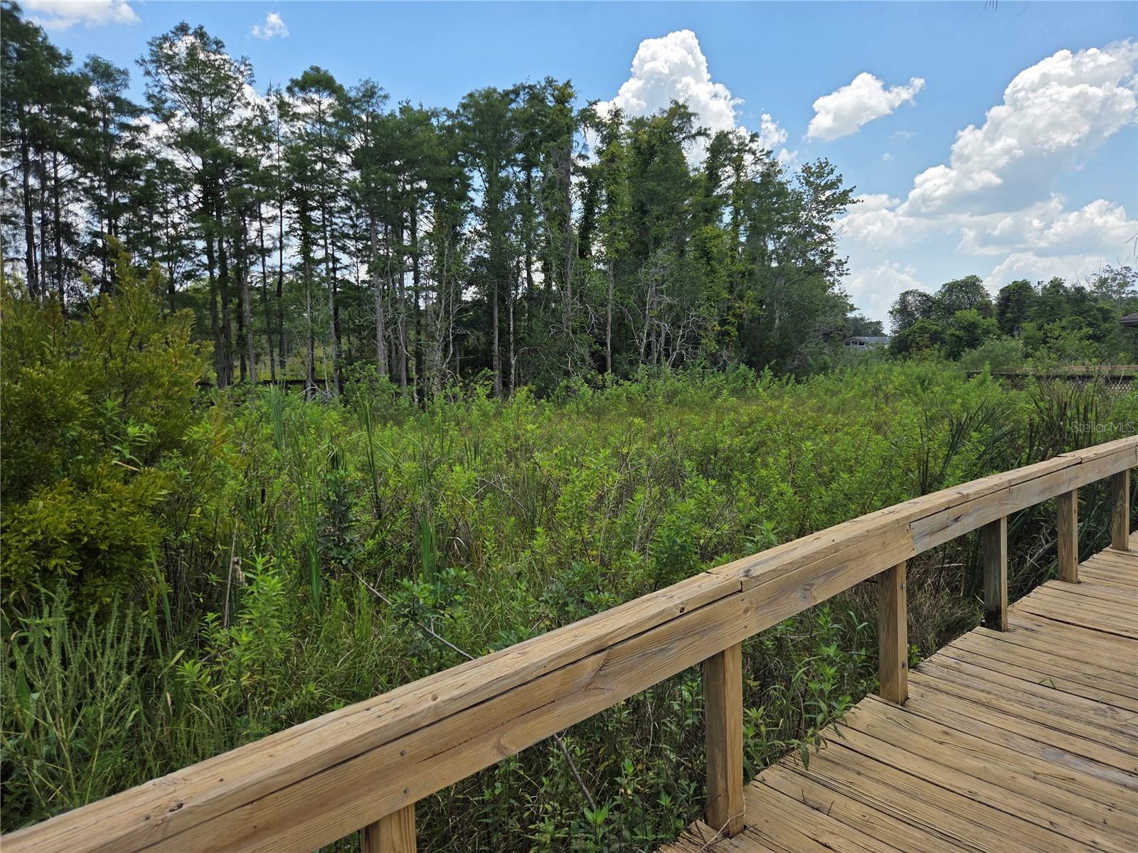 Image 46 of 54 For 538 Murray Street