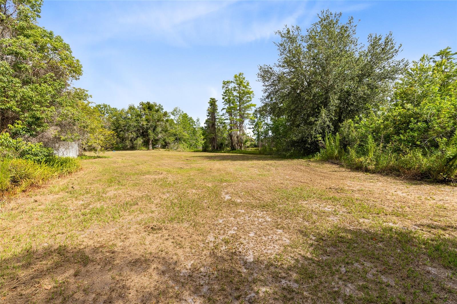 Image 53 of 54 For 538 Murray Street