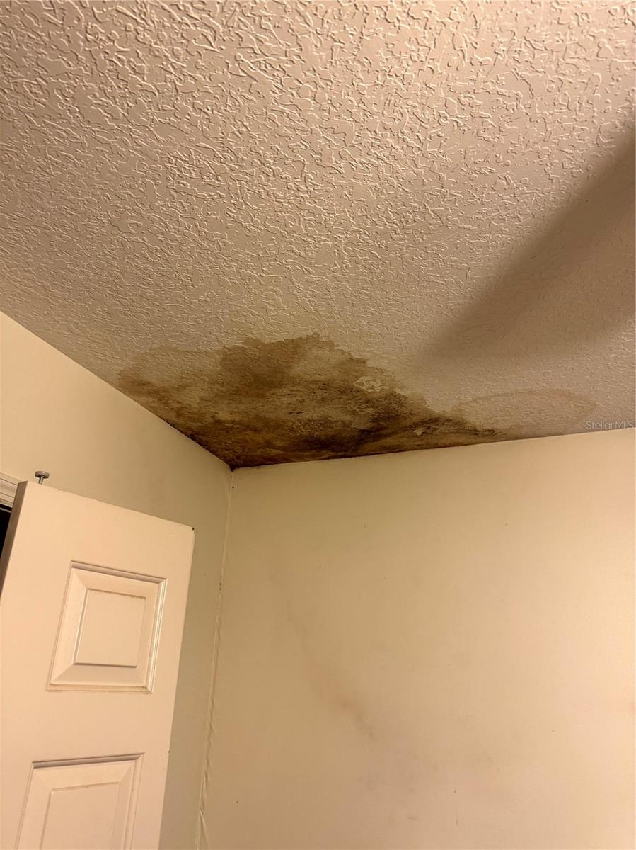 Image 20 of 21 For 905 Bearded Oaks Terrace