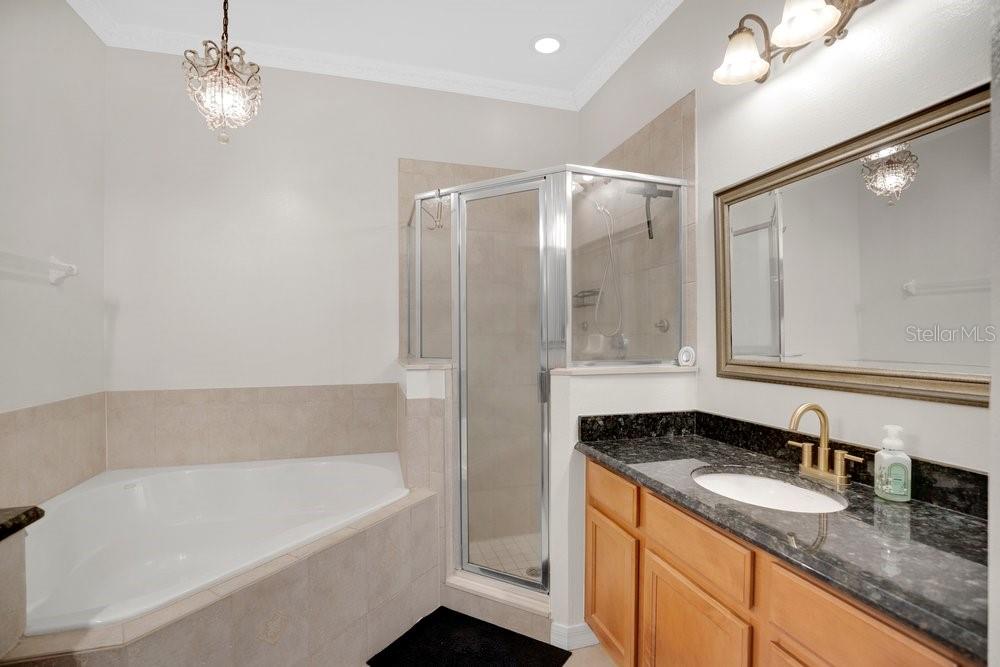 Image 19 of 36 For 1673 Lakelet Loop