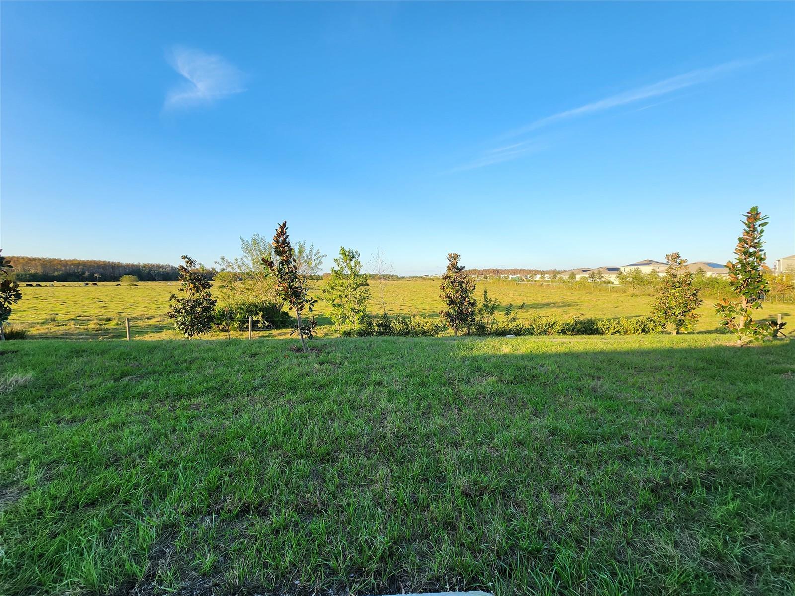 Image 13 of 13 For 5411 Preserve Boulevard