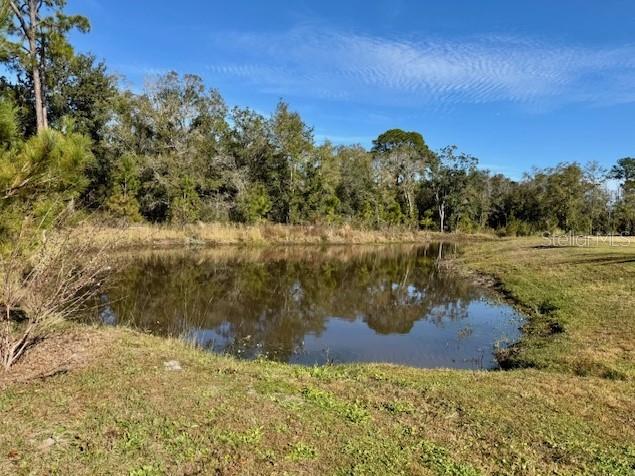 Image 18 of 18 For 203 Woodgrove Drive