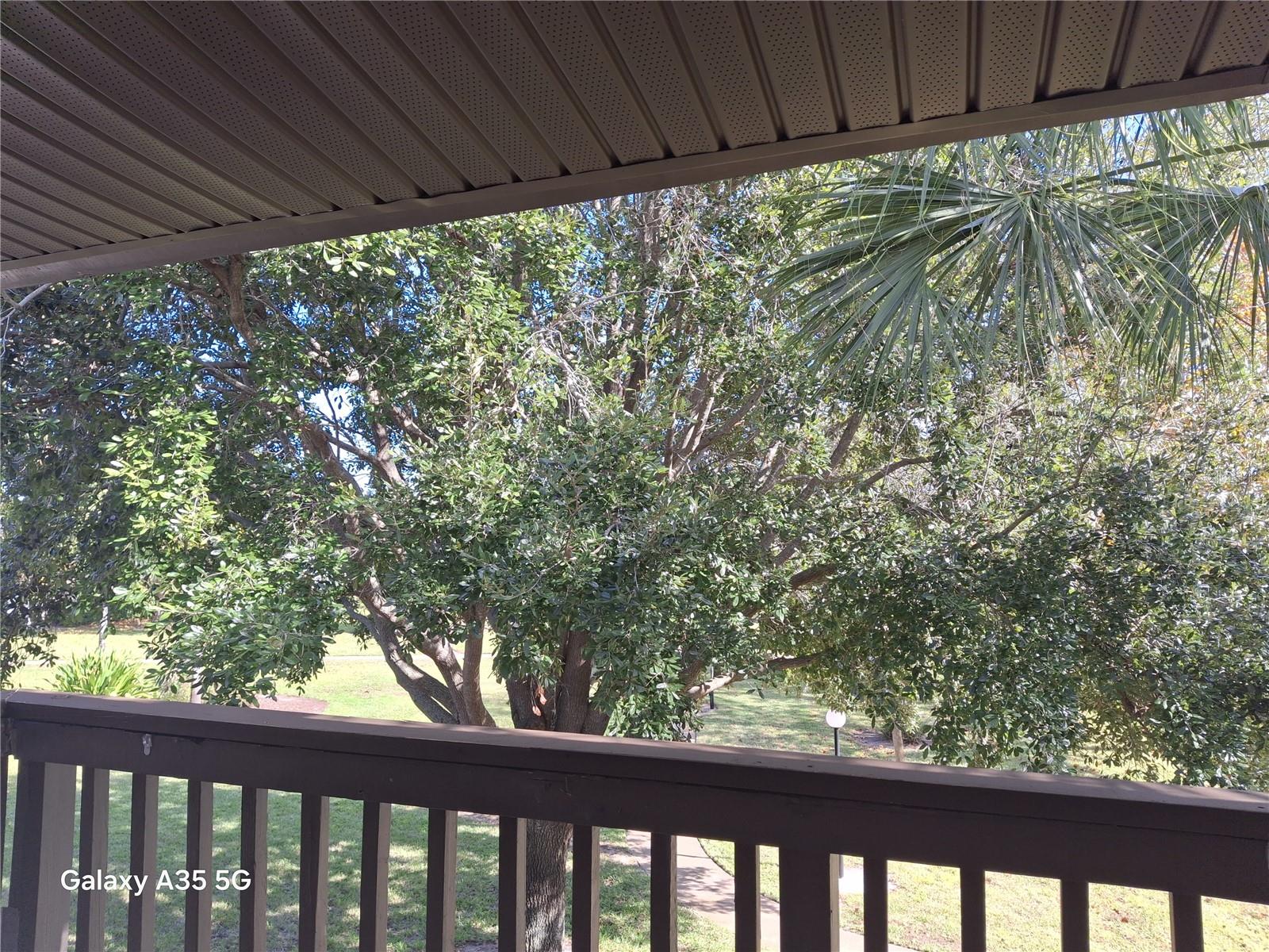 Image 22 of 27 For 1695 Lee Road B210