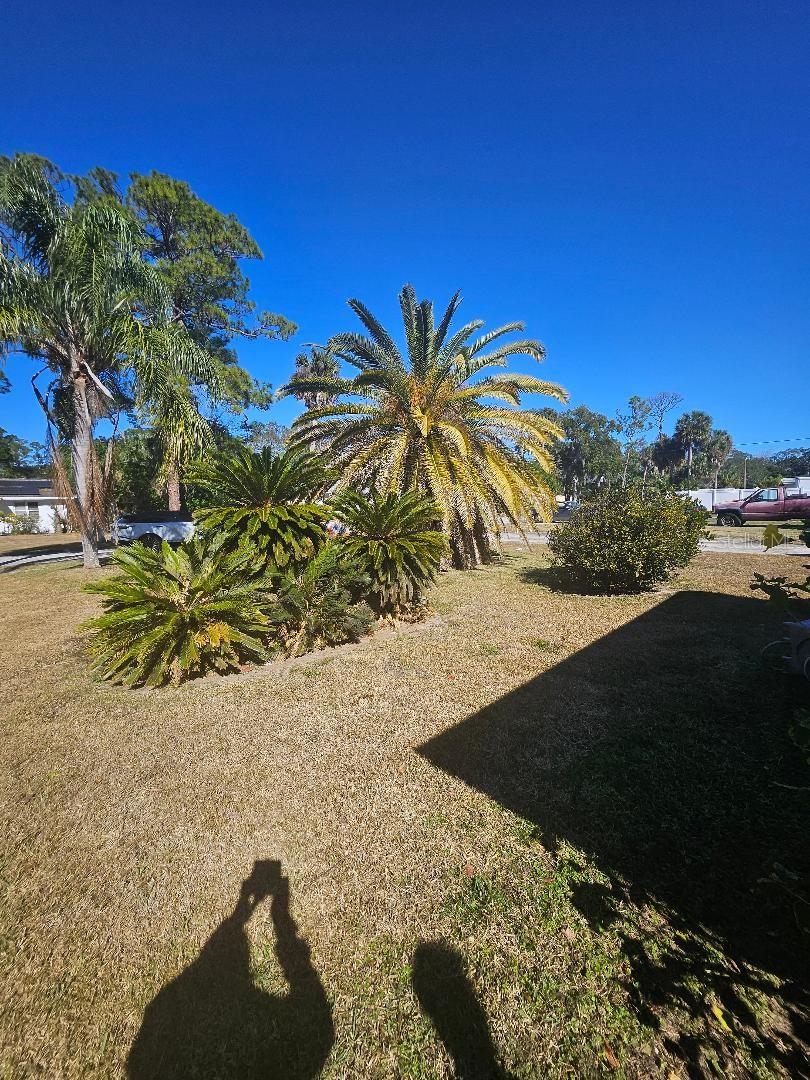 Image 2 of 9 For 1123 Australia Avenue