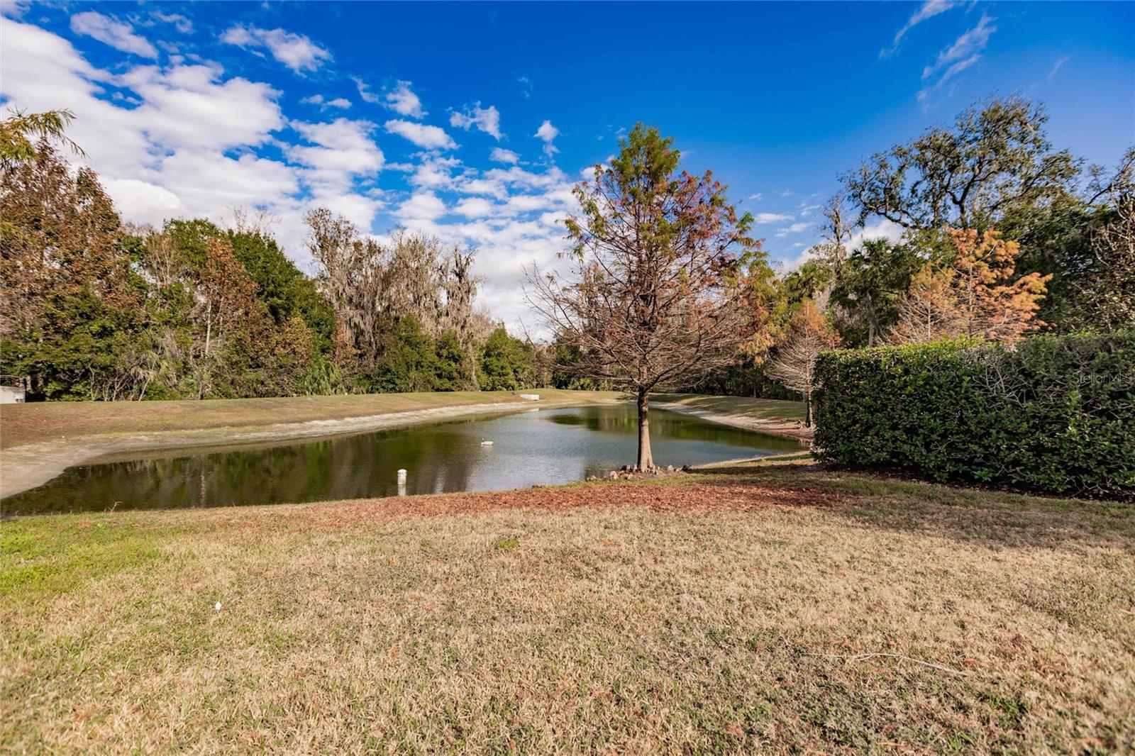 Image 38 of 44 For 186 Mitchell Crk