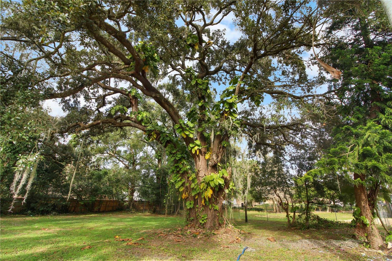 Image 27 of 33 For 2524 Blue Lake Court