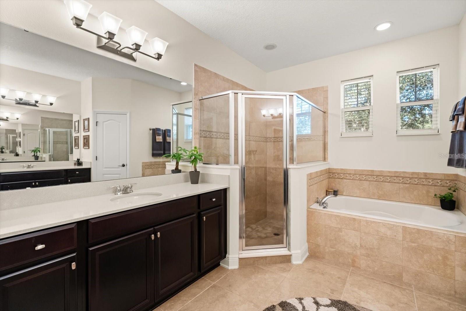 Image 12 of 31 For 2709 Tree Meadow Loop