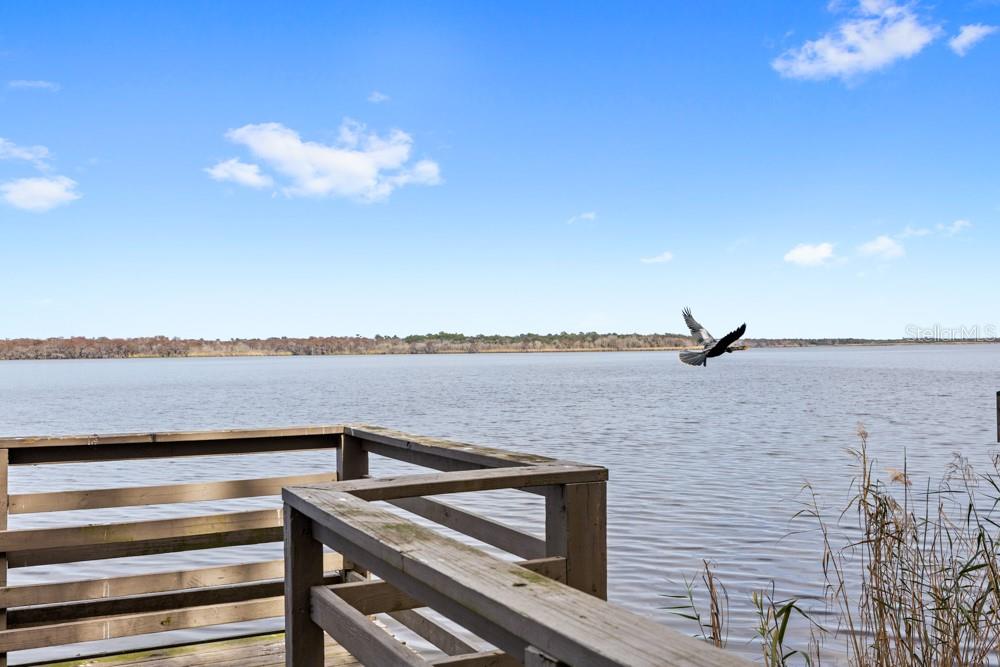 Image 37 of 55 For 758 Seneca Meadows Road