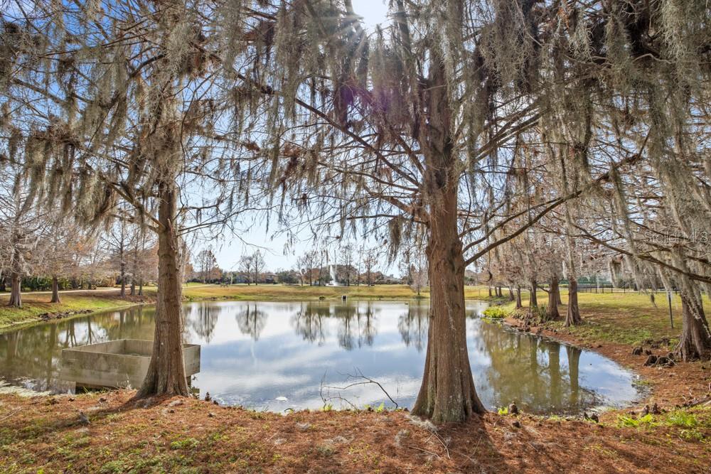 Image 43 of 55 For 758 Seneca Meadows Road