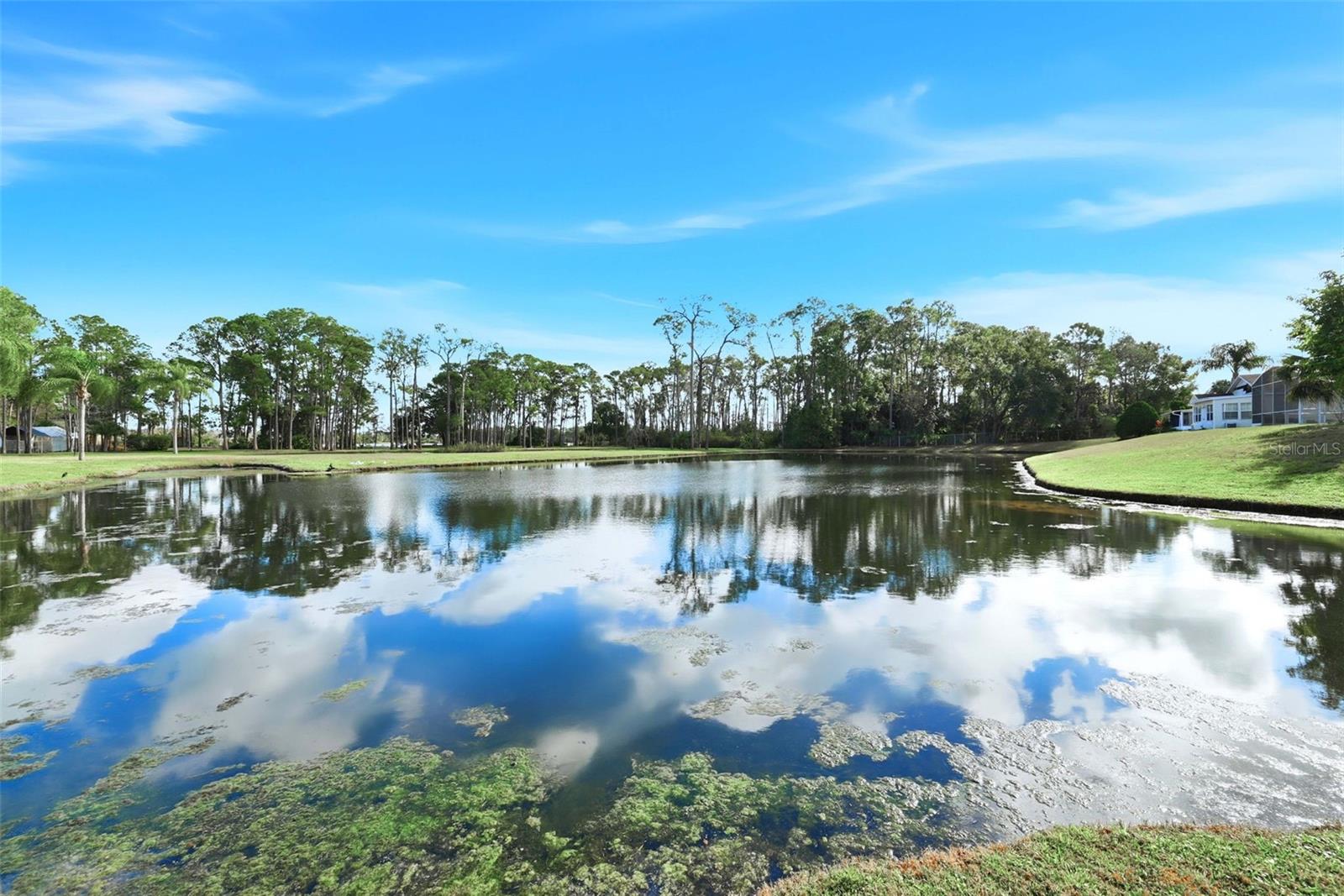 Image 41 of 55 For 50989 Highway 27  346