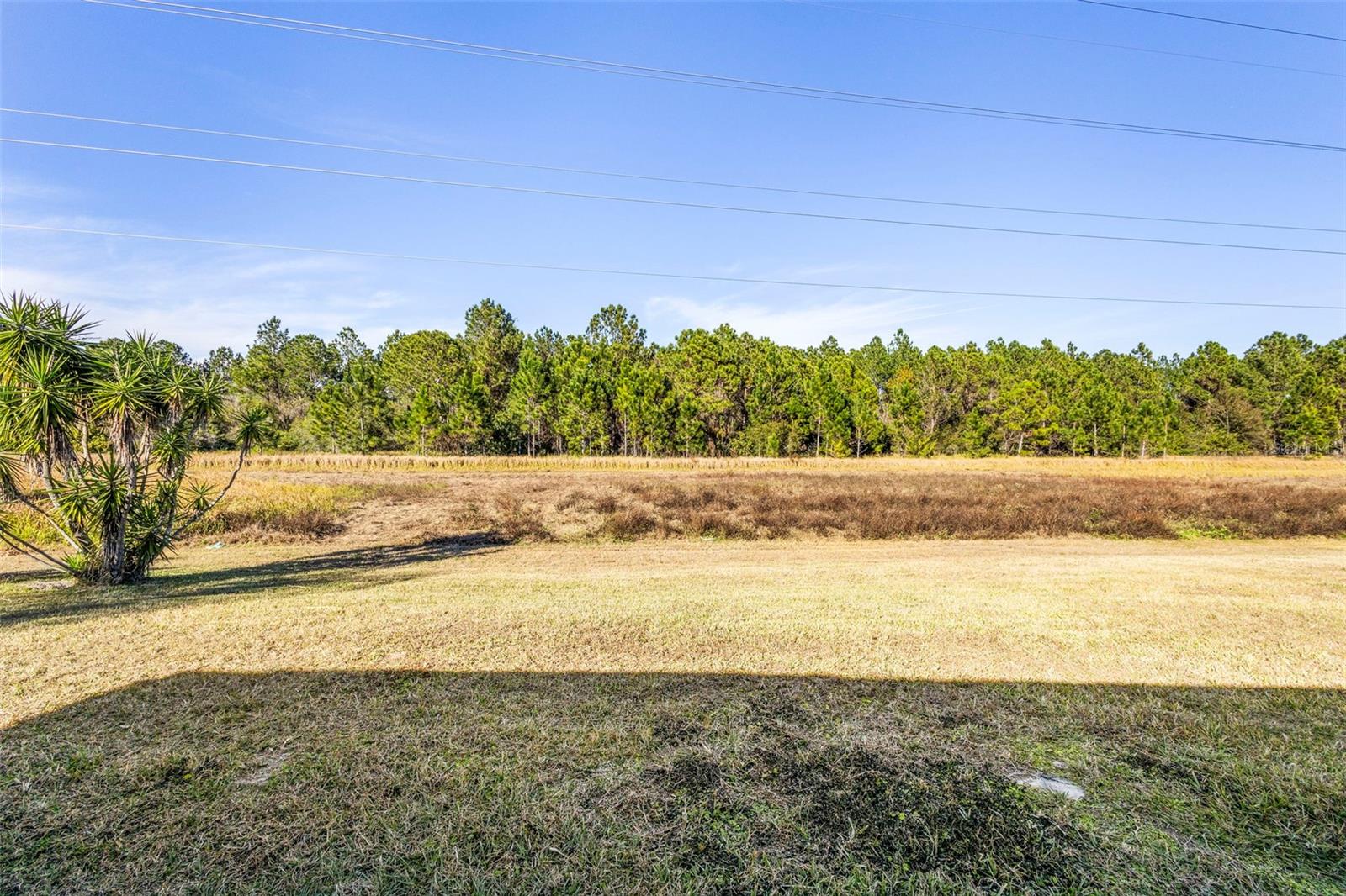 Image 29 of 36 For 1739 Canoe Creek Falls Drive