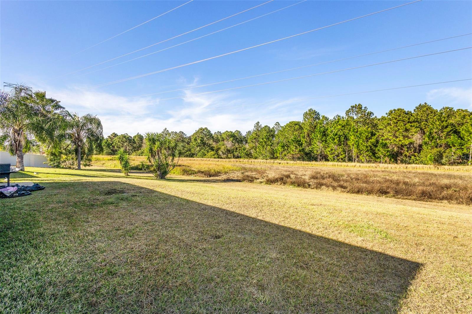 Image 30 of 36 For 1739 Canoe Creek Falls Drive