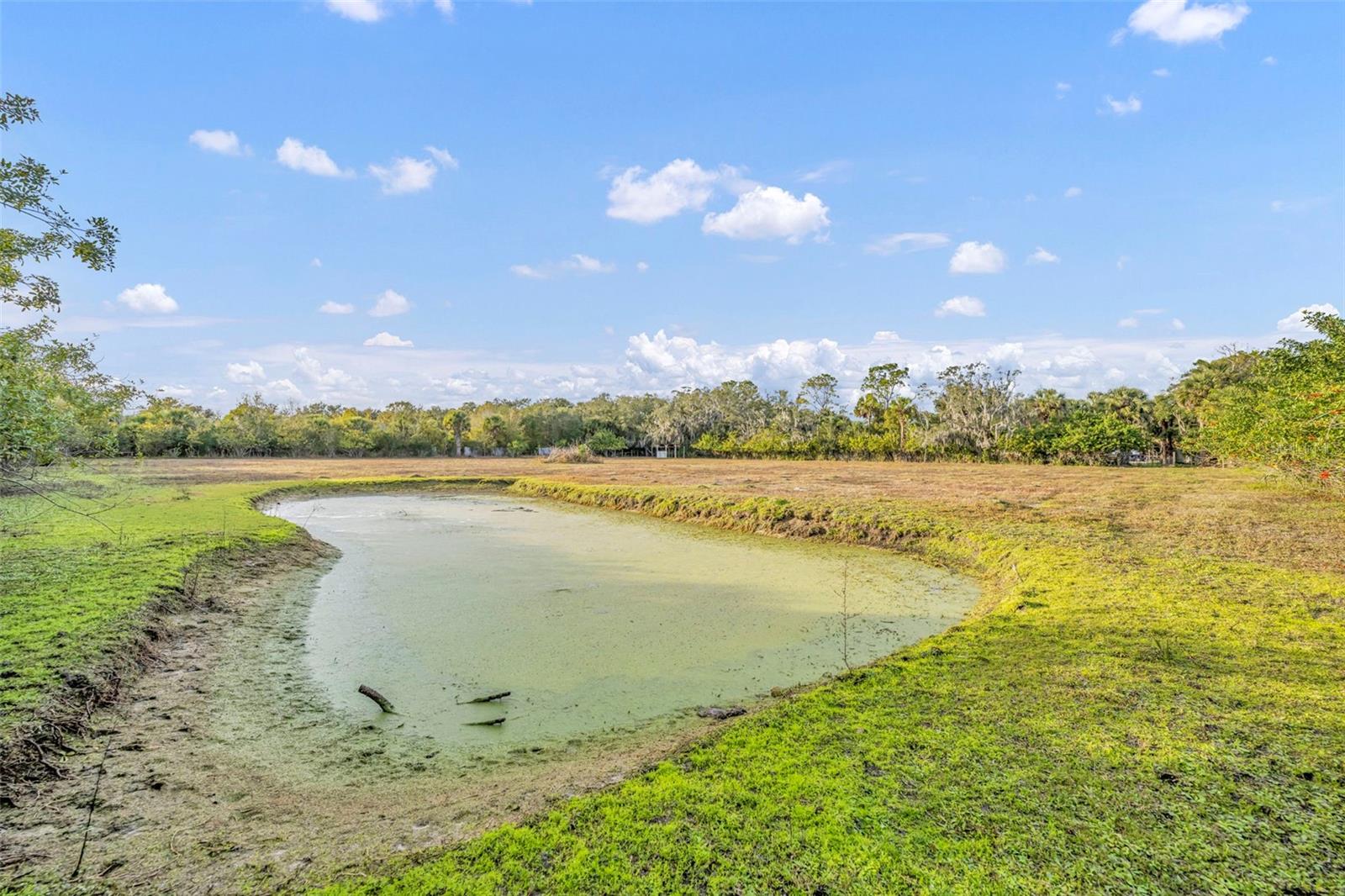 Image 10 of 13 For  Pine Way 