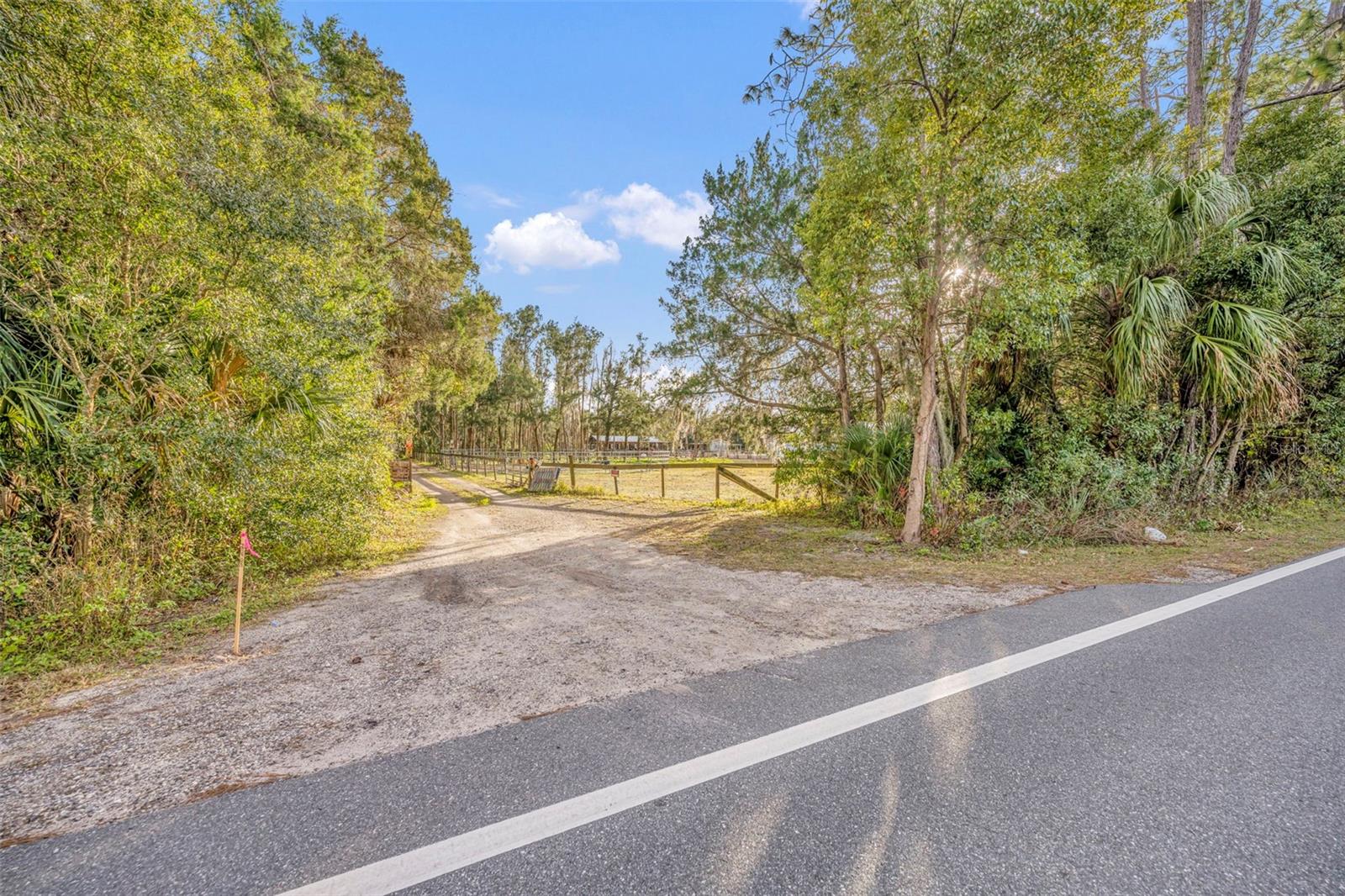 Image 13 of 13 For  Pine Way 