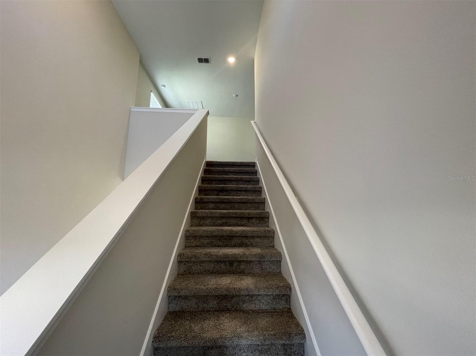 Image 8 of 20 For 2896 Muller Oak Loop