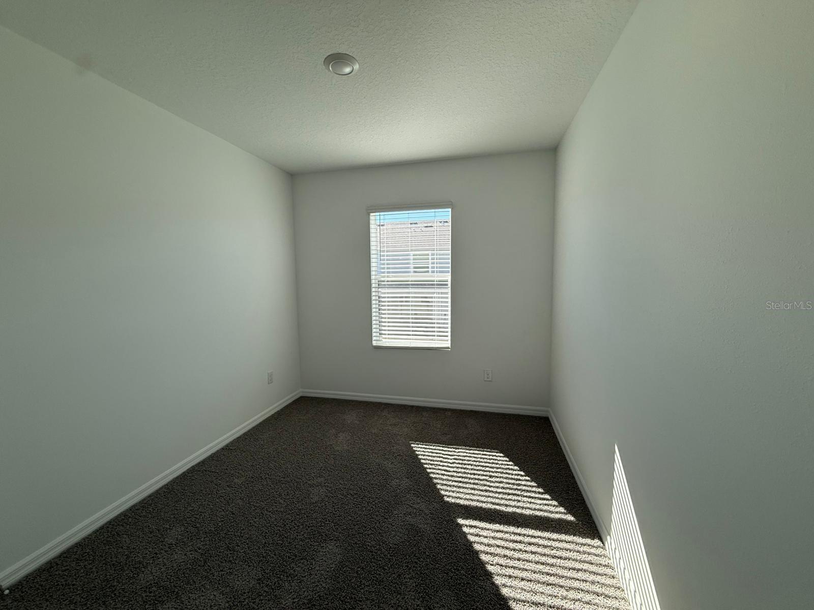 Image 10 of 15 For 31264 Paper Birch Street