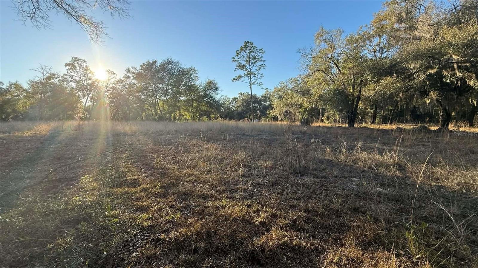 Image 2 of 5 For  40th Street 