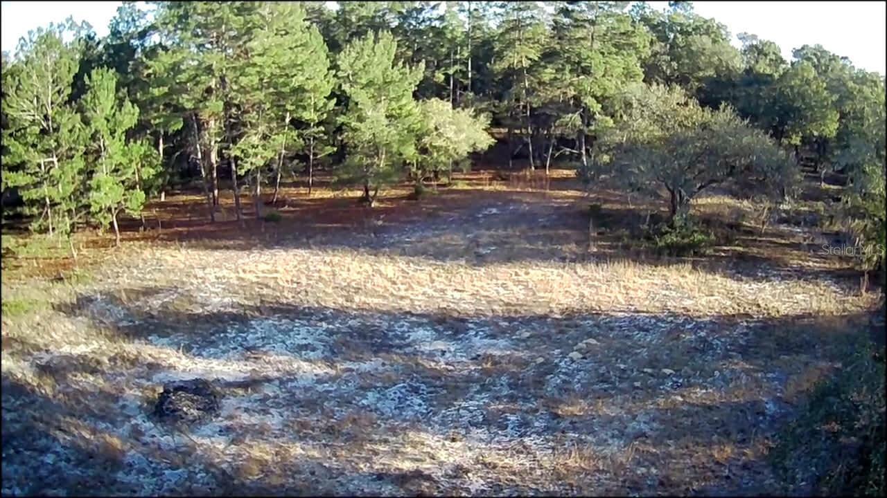 Image 5 of 5 For  40th Street 