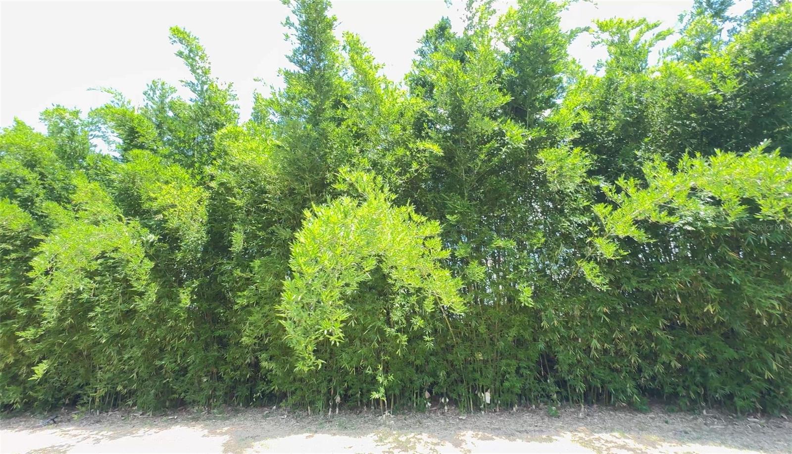 Image 65 of 80 For 4925 Us Highway 441