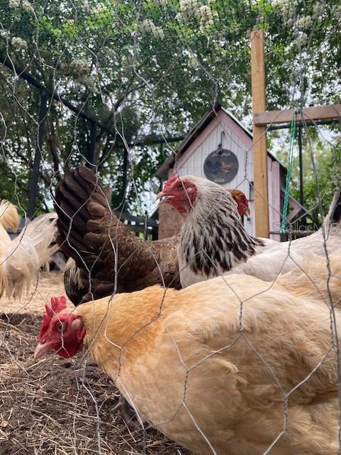 Image 4 of 11 For 483 Lakeview Drive