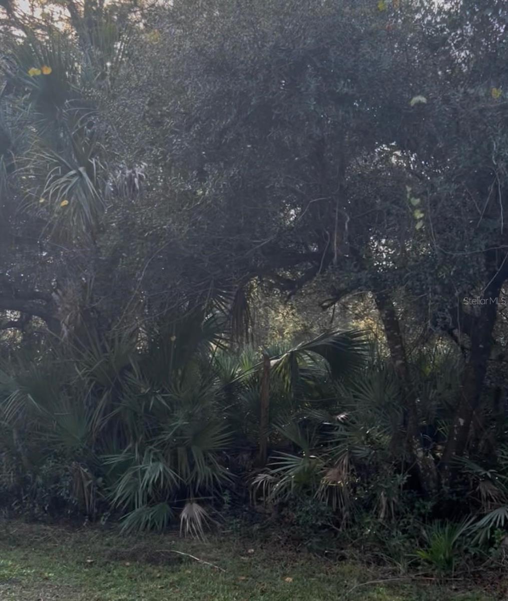 Details for 00 Dill Road, ORLANDO, FL 32820