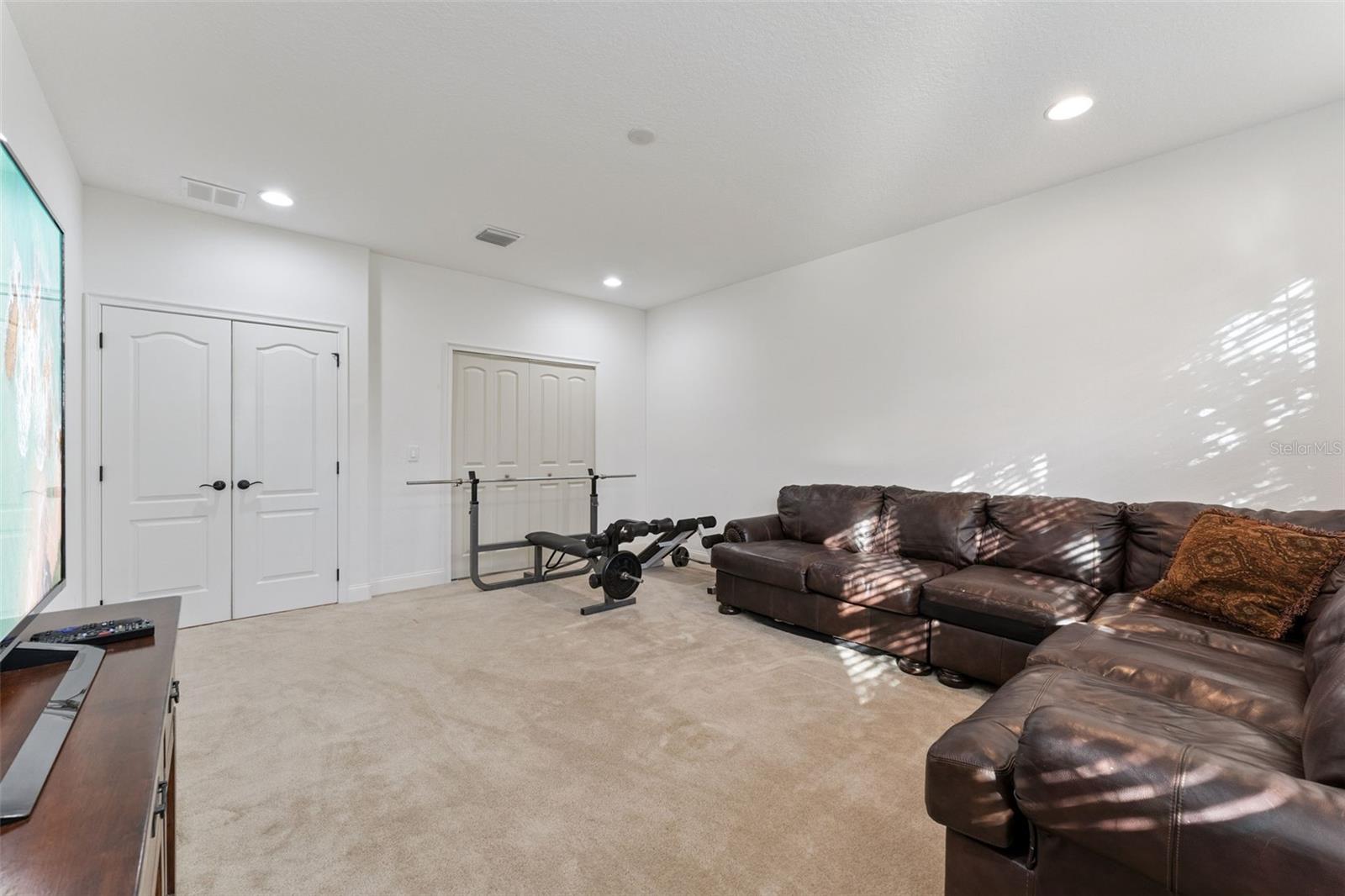 Image 14 of 30 For 6752 Trellis Vine Loop