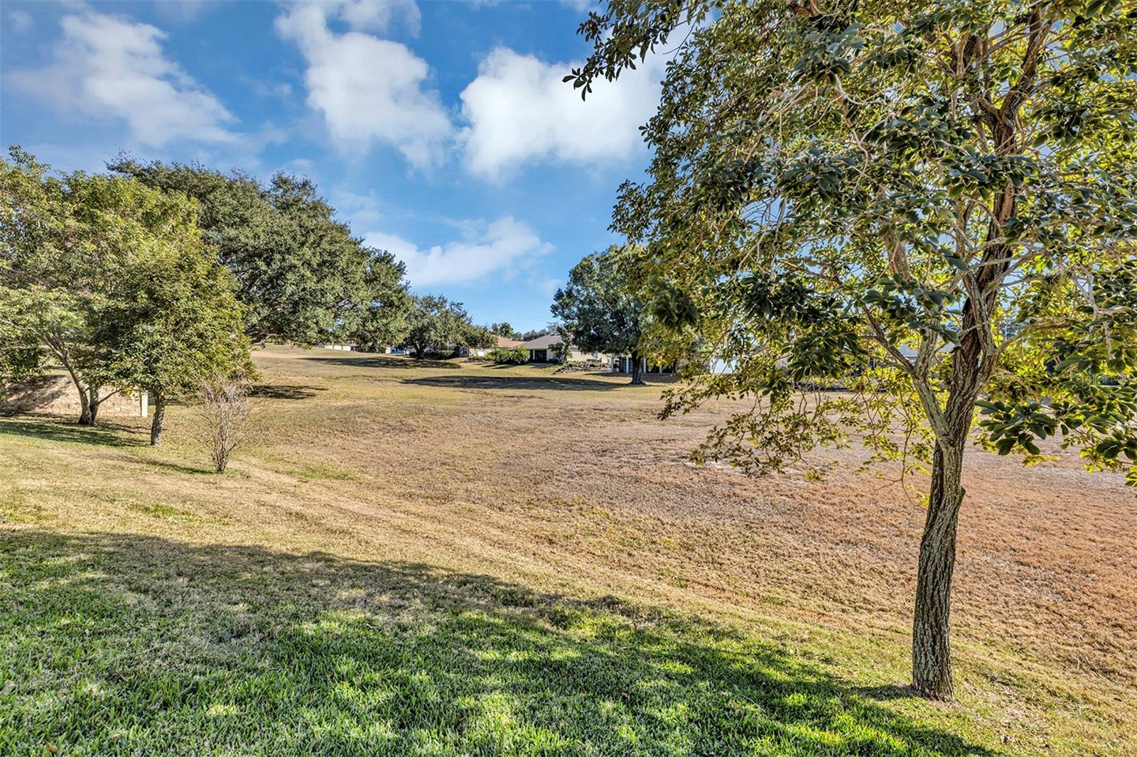 Image 45 of 59 For 9703 Spring Lake Drive