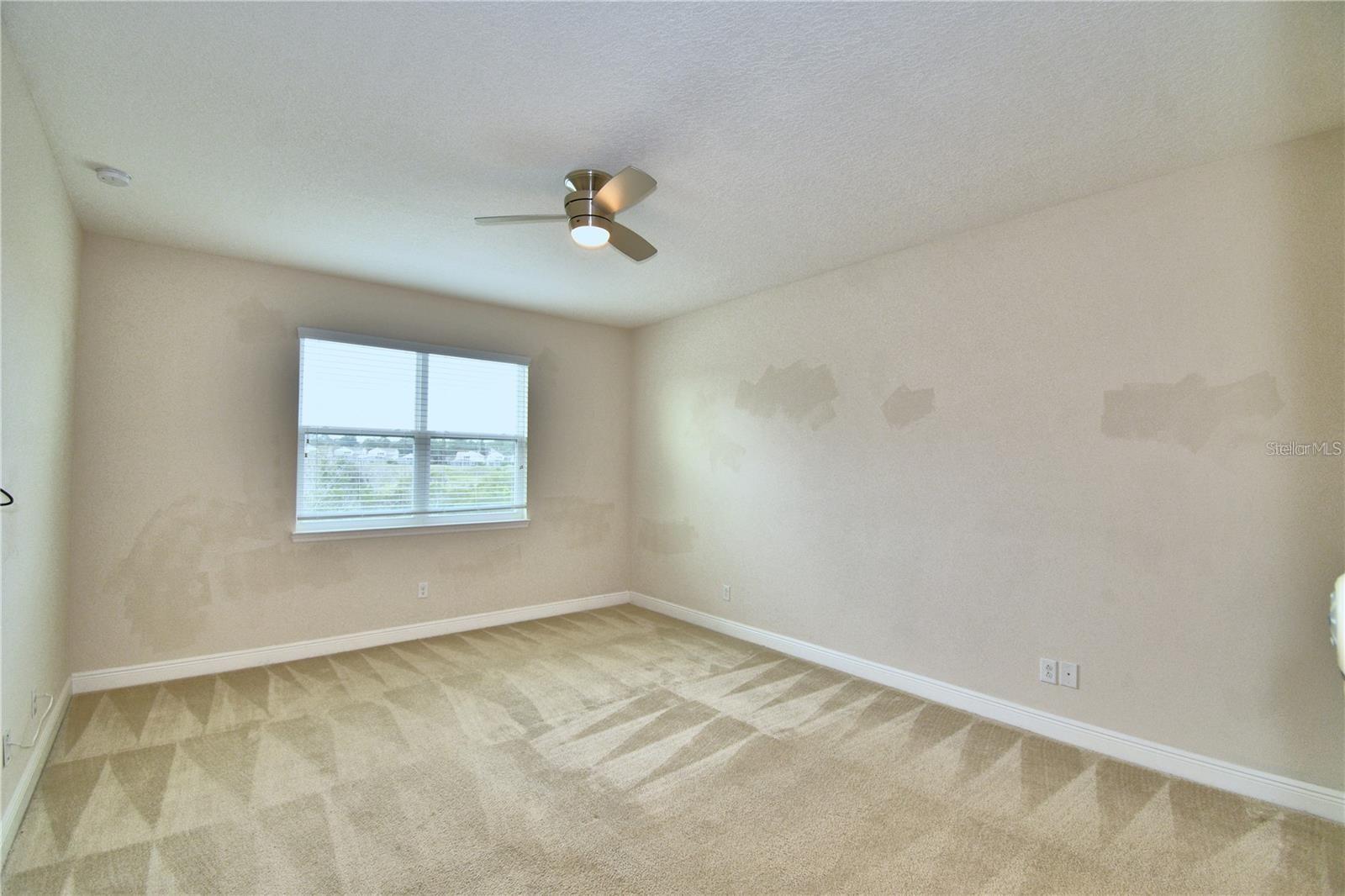 Image 24 of 67 For 193 Aberdeen Street