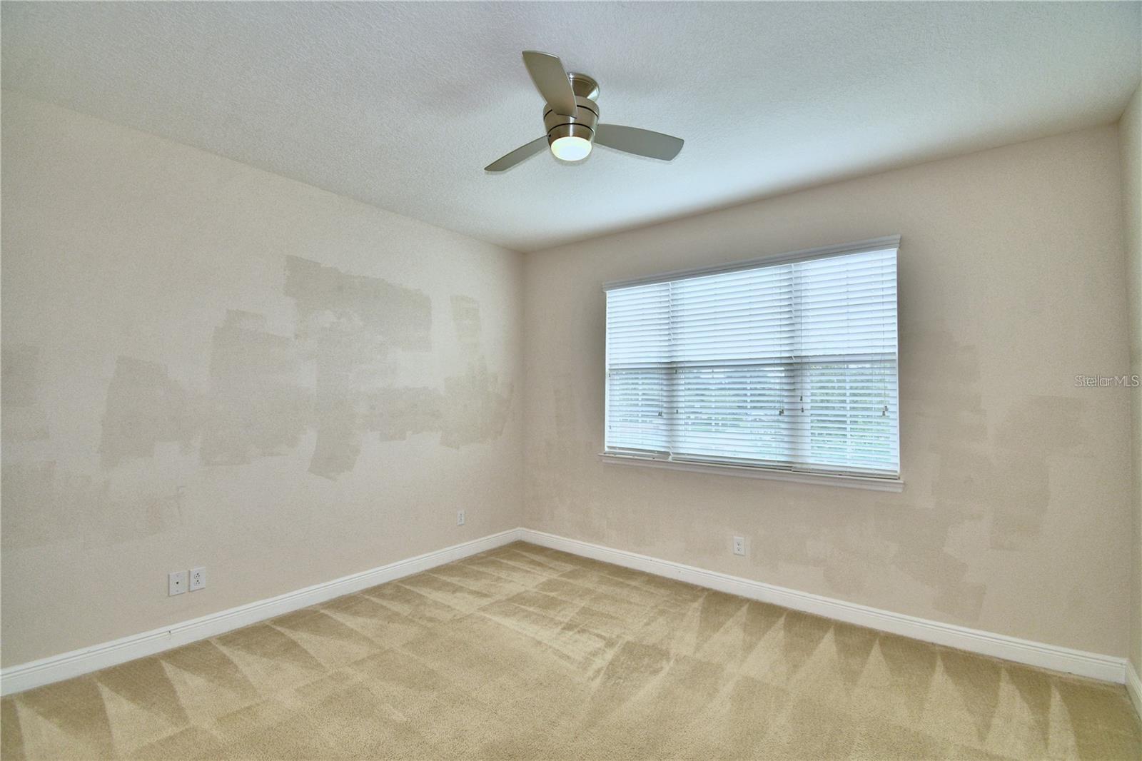 Image 37 of 67 For 193 Aberdeen Street