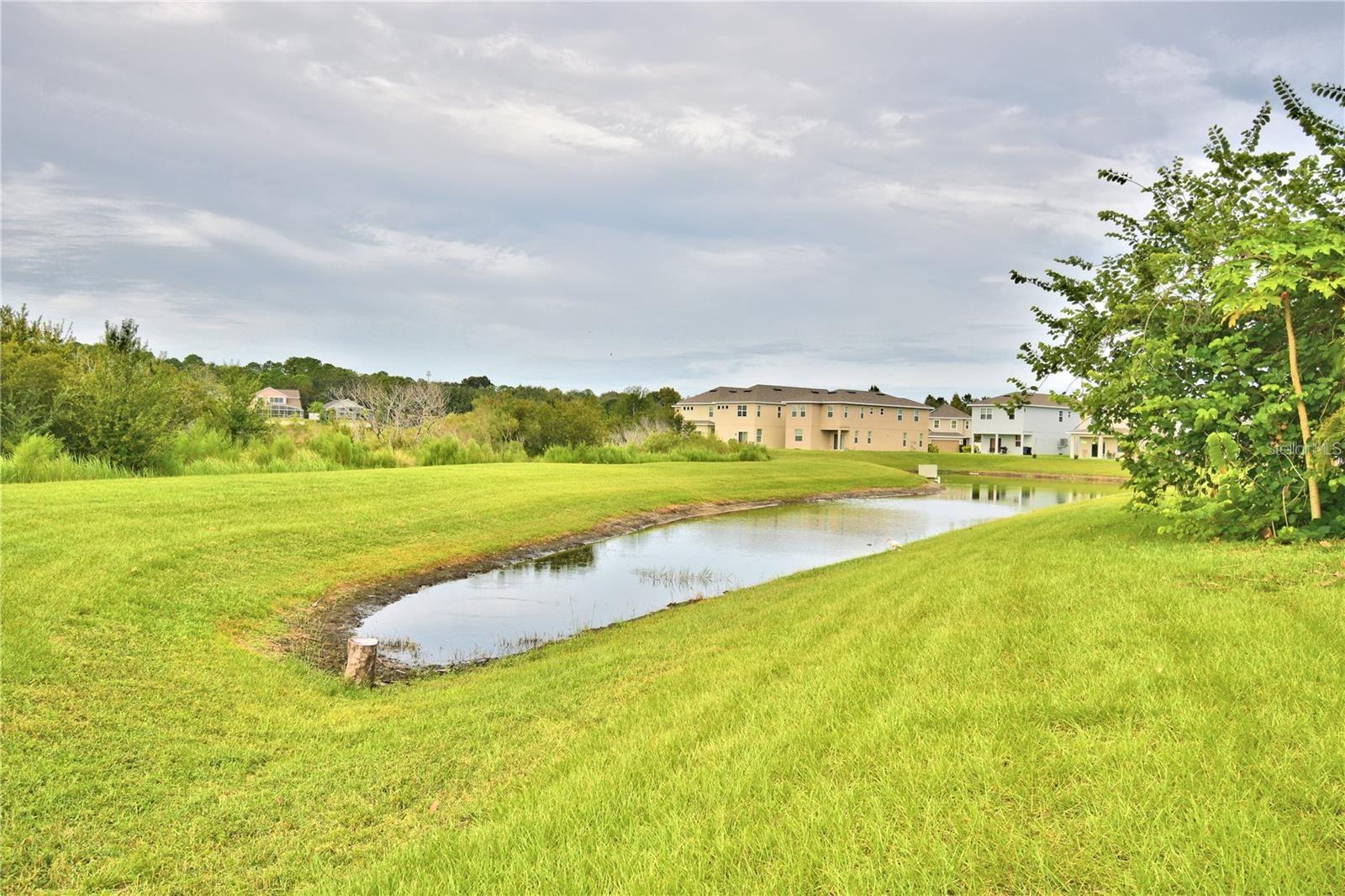 Image 49 of 67 For 193 Aberdeen Street