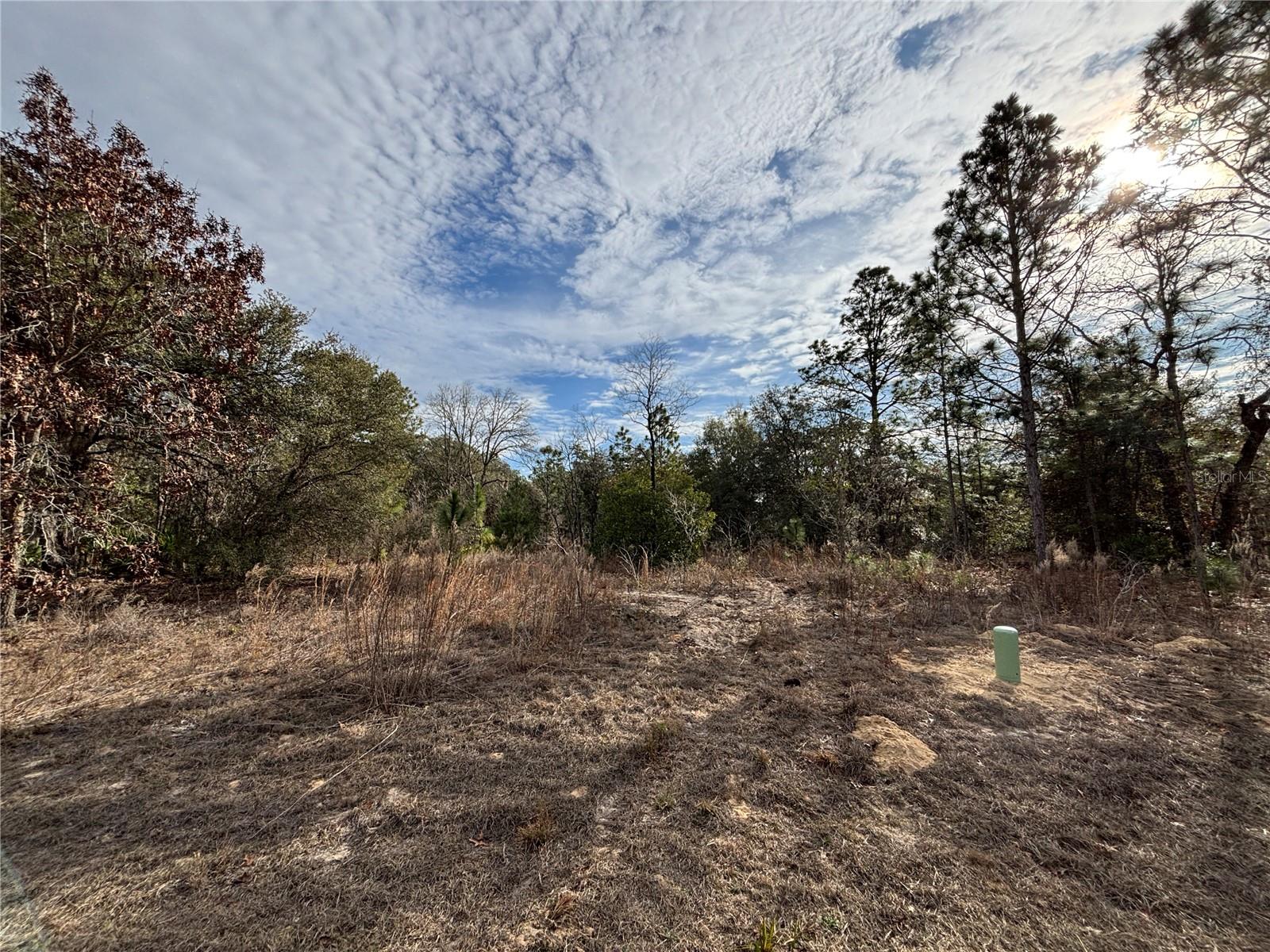 Details for 6505 Varsity Avenue, CITRUS SPRINGS, FL 34434