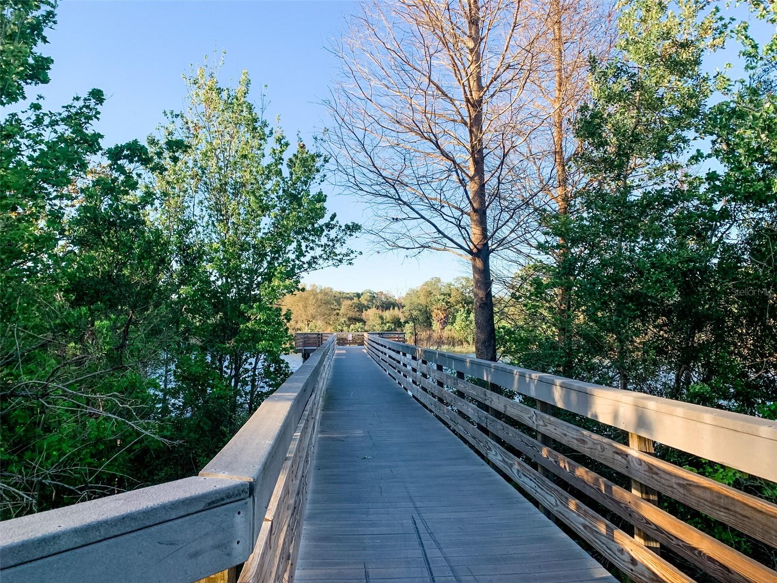 Image 44 of 46 For 1304 Brigadoon Drive