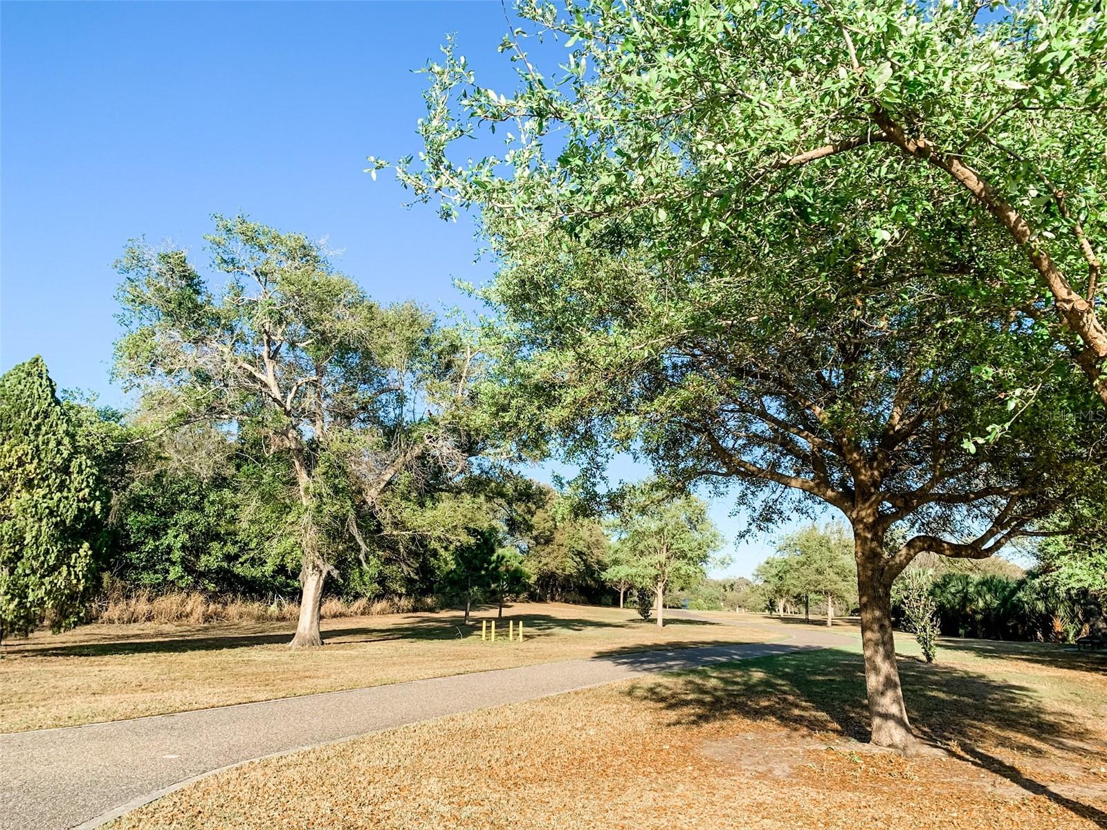 Image 45 of 46 For 1304 Brigadoon Drive