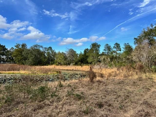 Image 10 of 19 For 195 Lake Molly Avenue