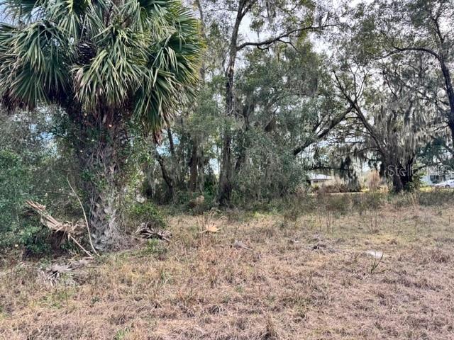 Image 11 of 19 For 195 Lake Molly Avenue