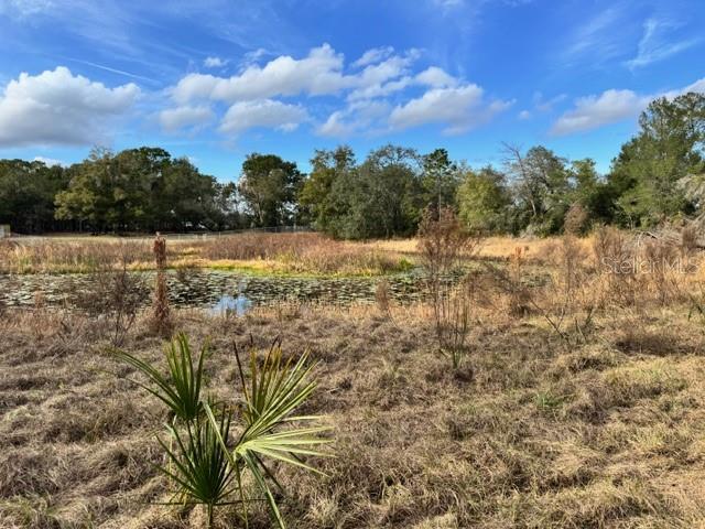 Image 12 of 19 For 195 Lake Molly Avenue