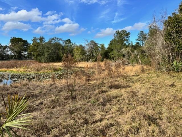 Image 13 of 19 For 195 Lake Molly Avenue