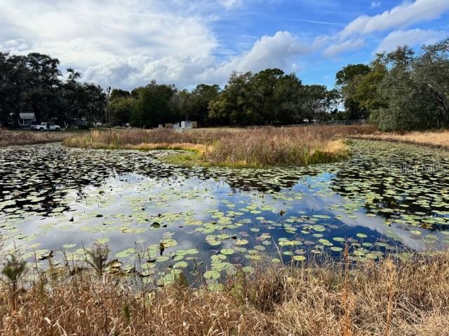 Image 14 of 19 For 195 Lake Molly Avenue